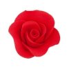 Róża Mini Max 20 szt. czerwona