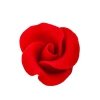 Róża mała 22 szt. czerwona