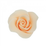 Róża Mini Max 20 szt. herbaciana