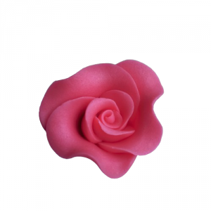 Róża Mini Max 20 szt. koralowa