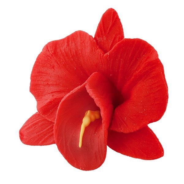 Kwiaty cukrowe - Storczyk opak. 10 szt. czerwony