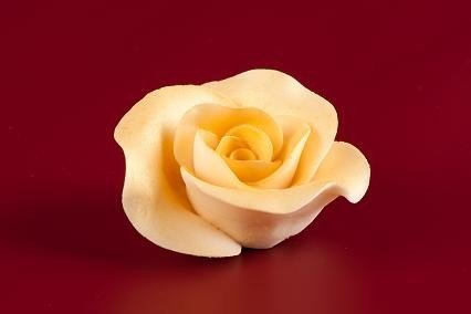 Róża Max 6 szt. złota