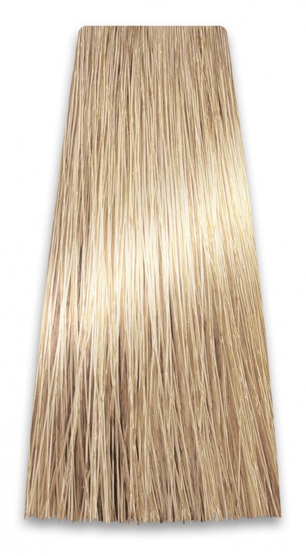 PROSALON PROFESSIONAL Intensis Color Art Profesjonalna Farba do włosów nr 10.0 bardzo jasny blond 100g