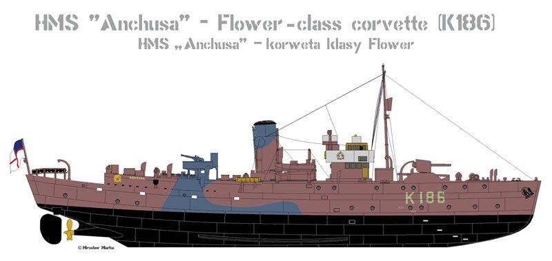 Mirage 350801 1/350 HMS 'Anchusa' - Korweta klasy Flower (K186) 