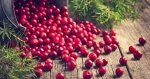 9011 Zurawina lesna / Cranberry 300g 1x10