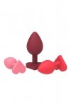 DREAMTOYS AMOUR THE PASSION OF LOVE ALLURING ANAL KIT