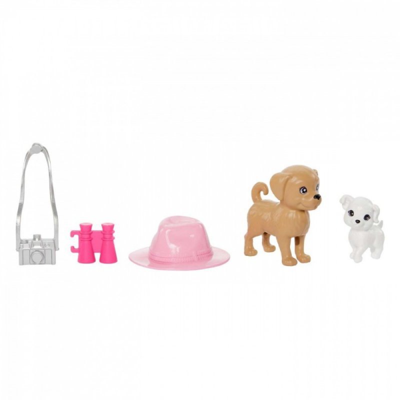 Mattel Zestaw lalek Barbie i Stacie z pieskami