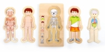 SMALL FOOT Puzzle Drewniane - Anatomia Ciała (chłopiec)