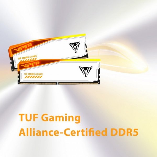 Patriot Pamięć DDR5 Viper Elite 5 RGB TUF 32GB/6600 (2x16GB) CL34