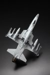Freedom Model Kits 18002 F-20A Tigershark 1/48
