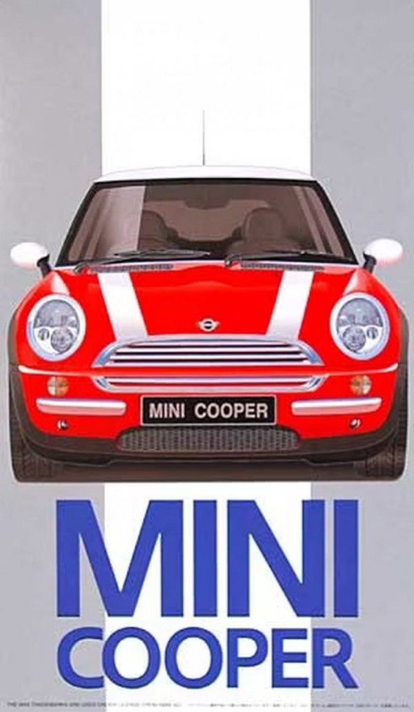 Fujimi 121970 1/24 RS-19 NEW Mini Cooper