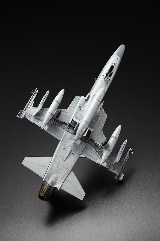 Freedom Model Kits 18002 F-20A Tigershark 1/48