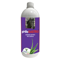 Philgastro suplement na żołądek 