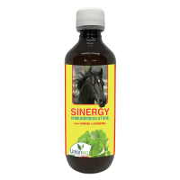 Sinergy suplement multiwitaminy i minerały 