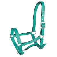 Kantar źrebięcy Tobi, kolor jasnozielony 