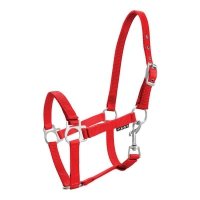 Kantar źrebięcy czerwony 