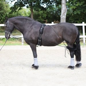 Pomoc treningowa typu Pessoa