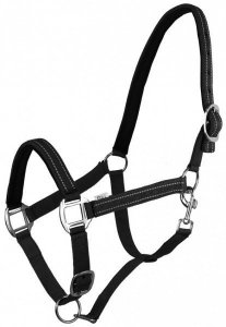 Kantar Teo, kolor czarny