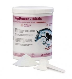 Biotyna w proszku Equi power biotin