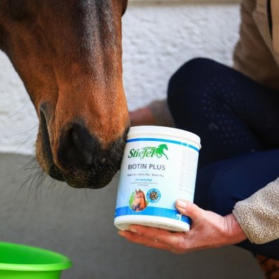 Biotyna dla koni Biotin Plus Pellet