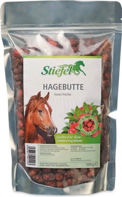 Owoce róży Hagebutte