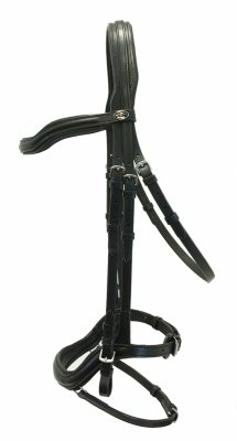 Ogłowie anatomiczne Anatomica