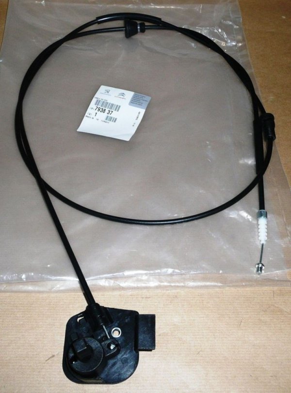 Original 1636941180