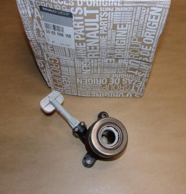 306206618R Neu Autoteile AF