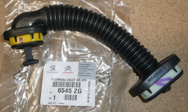 Original 6545ZG