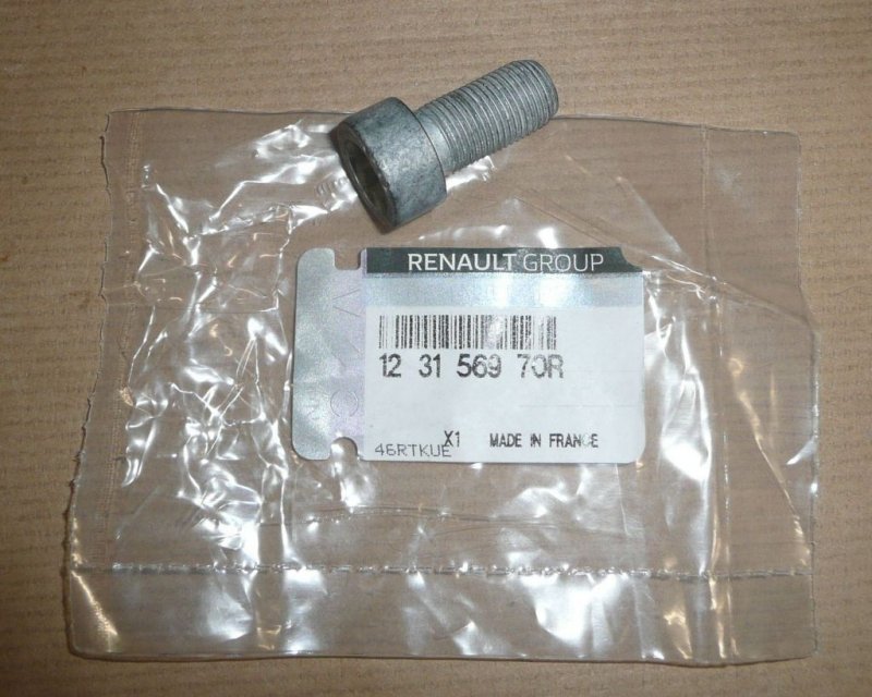 Boulon de volant bimasse Renault Captur 1.2, 123156970R, 