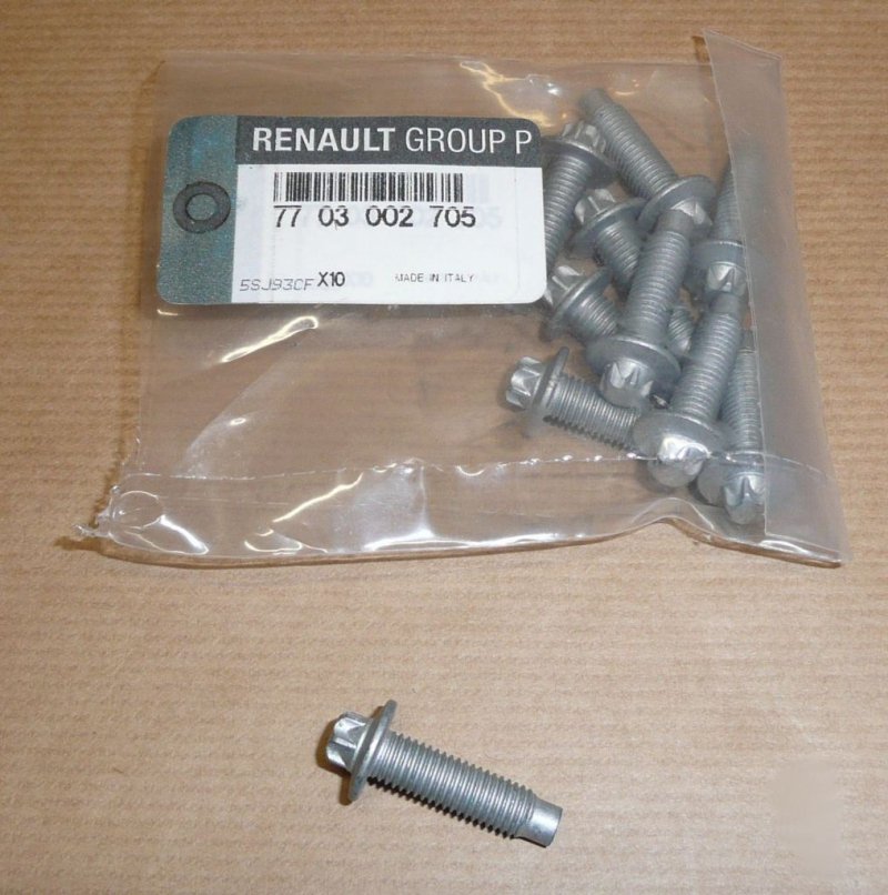   Boulon de fixation du carter d'huile Renault 1.9DCI , 7703002705