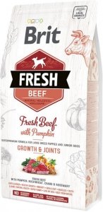 BRIT Fresh Beef & Pumpkin Puppy Large Growth & Joints 2,5kg