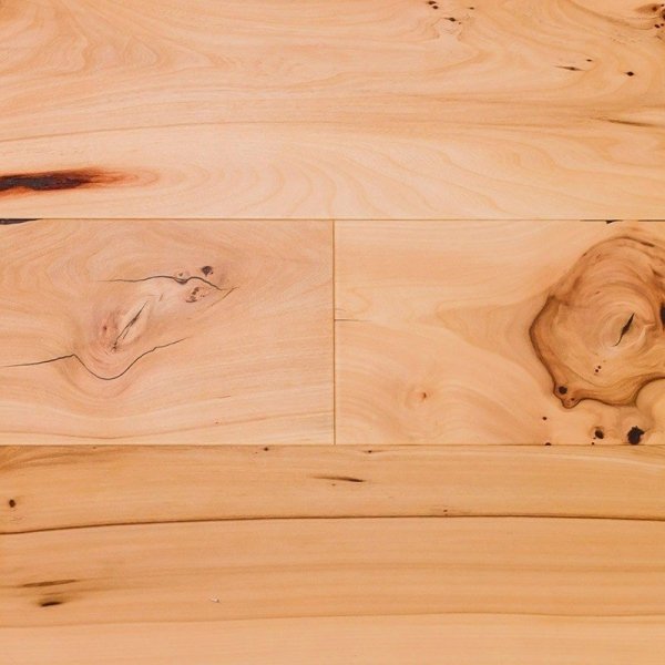 Wiąz 2175x210x11,5 mm