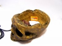 Klimatyczny i przerażający hub USB czaszka Klimatyczny i przerażający hub USB czaszka