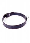 Fetish Boss Series Collar  2cm Red Line