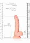 Curved Realistic Dildo  Balls  Suction Cup - 7/ 18 cm