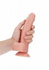 Curved Realistic Dildo  Balls  Suction Cup - 8/ 20,5 cm