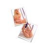 PDX Extreme Masturbator Flip Me Over Light - masturbator (cielisty)