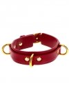 Taboom D-Ring Collar Deluxe Red - obroża (czerwony)