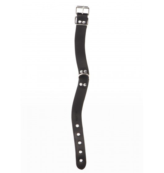 Taboom Elegant D-Ring Collar Black - obroża (czarny)