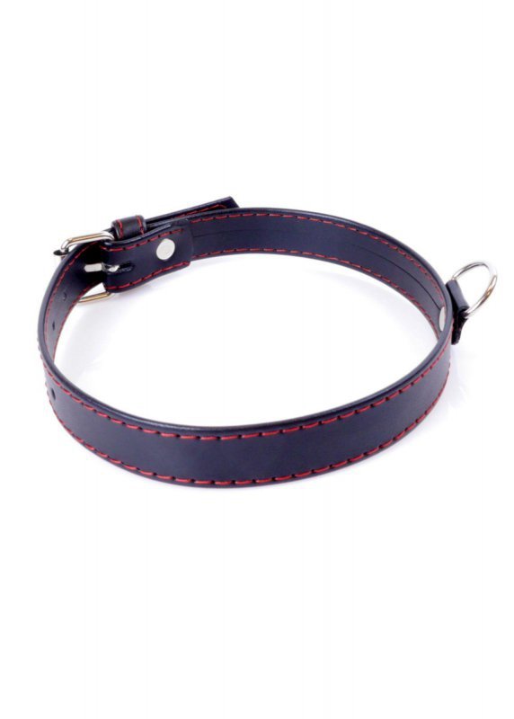 Fetish Boss Series Collar  2cm Red Line