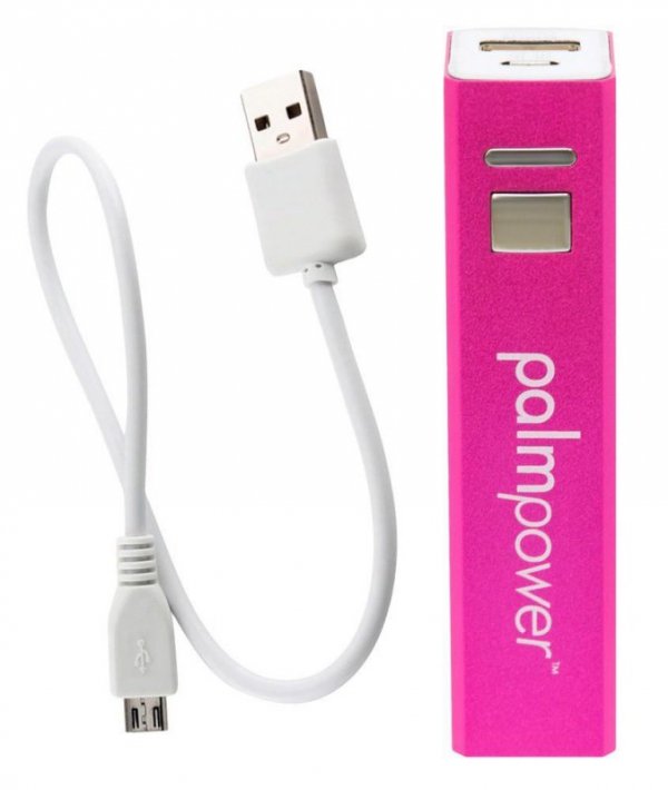 Palm Power Plug & Play