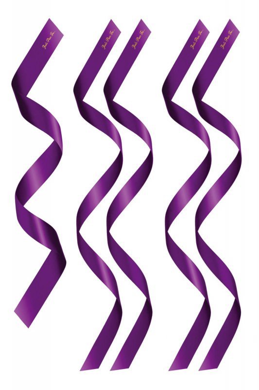 PACK HEADBANDS 1 + 4 PURPLE (Size: TU)