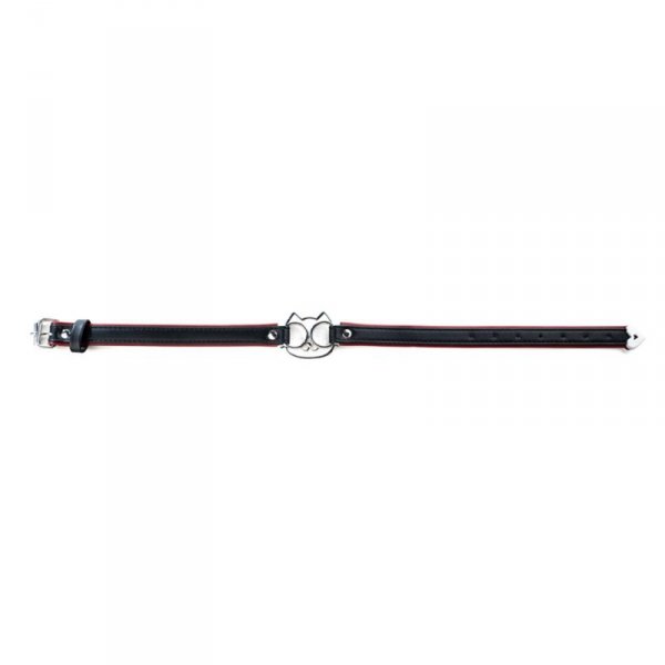 Adjustable collar with cat face.