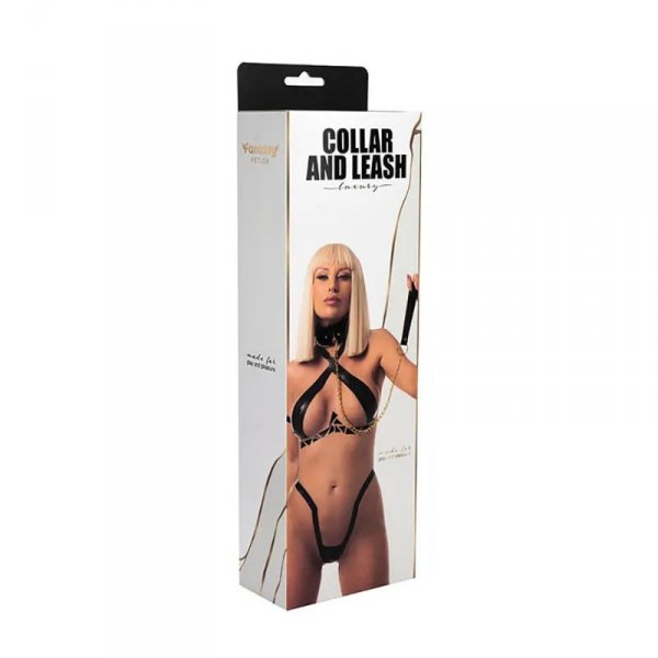 Collar with detachable leash