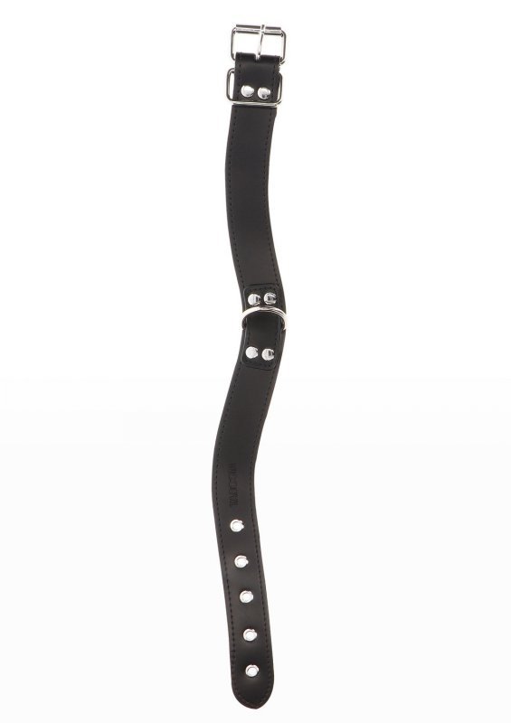 Czarna obroża z ekoskóry Taboom Elegant D-Ring Collar Black