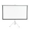 Extralink Ekran projekcyjny Projection Screen 100 16:9, 220x125cm, PVC, pół-automatyczne zwijanie
