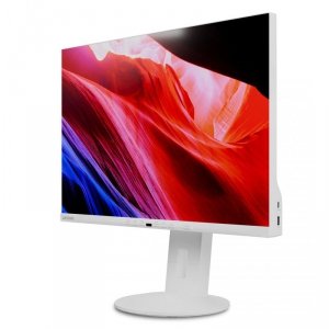 Monitor LED Lenovo C24d-20 61cm (24) 1920x1200px Full HD Szary, Biały