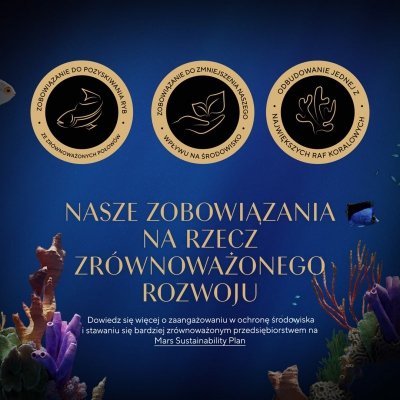 SHEBA Nature&#039;s Collection Drobiowe smaki w galarecie- Junior Kurczak/Łosoś - Mokra karma dla kota 40x85g