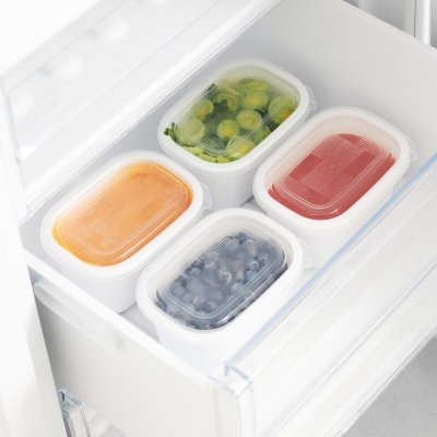 Rotho Freeze zestaw pojemników do mrożenia 4 x 0,75l